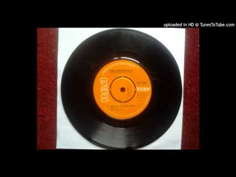 Noel Redding Band — NOEL REDDING BAND "Roller Coaster Kids" 1975