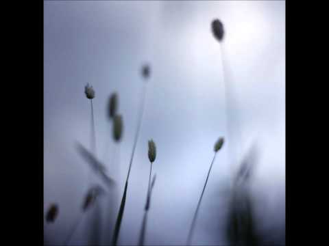 Peter Broderick — Stopping On The Broadway Bridge