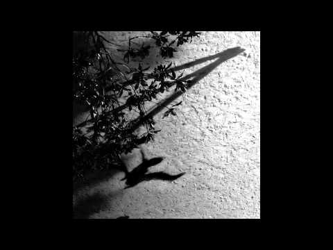 Max Richter — Max Richter | Shadow Journal