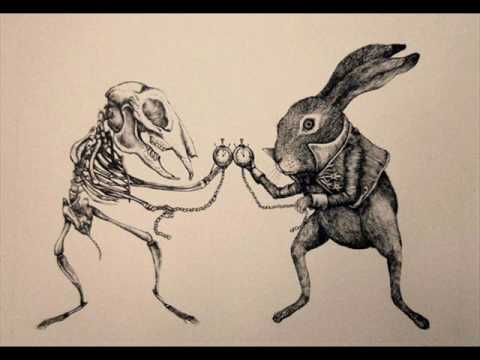 Born For Bliss — Born For Bliss - White Rabbit - Jefferson Airplane cover version