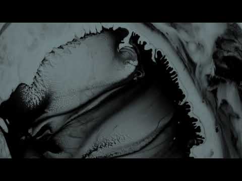 The Fuzz (17) — 法茲FAZI / 與你分享我的眼睛Share My Eyes With You  (official MV)