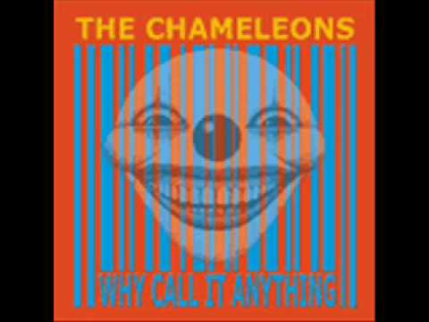 The Chameleons — The Chameleons - Shades