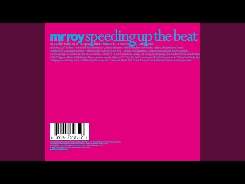 Mr. Roy — Speeding Up The Beat (Spacedust Remix)