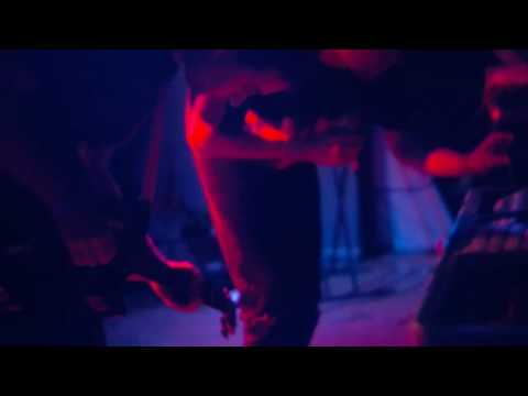 Signer — Signer - Languidly Toot