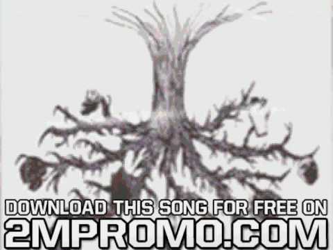 Circle Of Ouroborus — Circle of Ouroborus Tree of Knowledge Show Me the Way to the Wishing Well