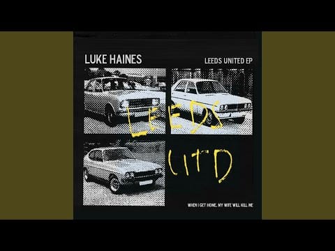 Luke Haines — Country Life