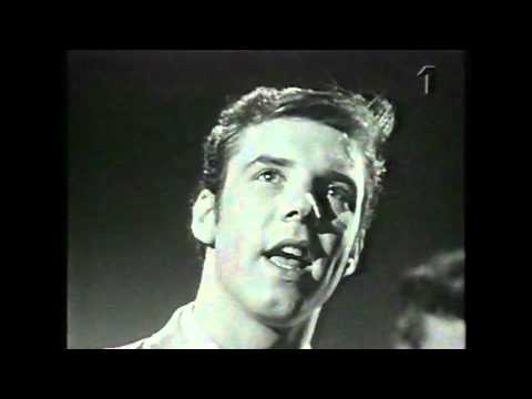 Marty Wilde — Marty Wilde - Teenager in Love (Best Quality)