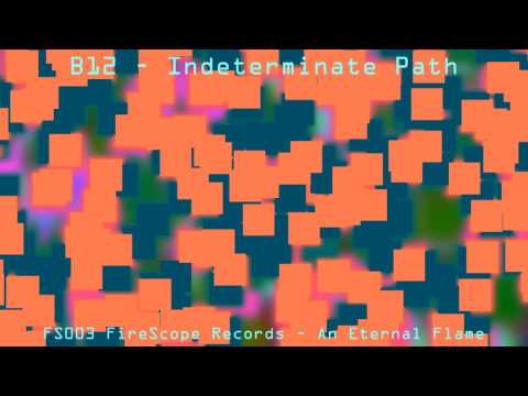 B12 — B12 - Indeterminate Path - An Eternal Flame FS003