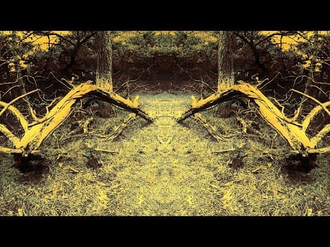 Ammar 808 — AMMAR 808 - MAHAGANAPATIM  ( featuring K.L.SREERAM )