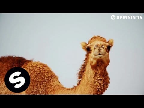KSHMR — KSHMR & MARNIK - Mandala ft. Mitika (Official Sunburn 2016 Anthem) [Official Music Video]