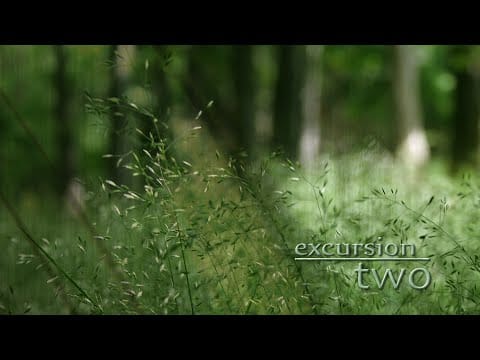 Altus (2) — Altus - Excursion Two (2009) COMPLETE ALBUM