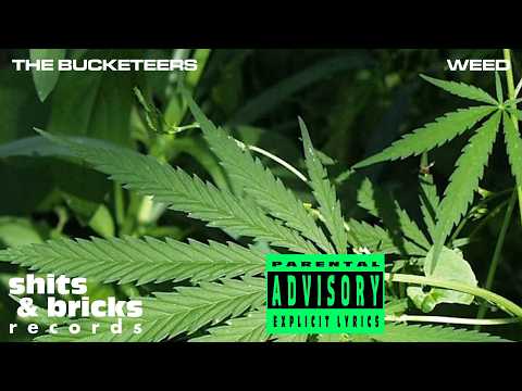 The Bucketeers — The Bucketeers - Weed (Official Audio) [Explicit]