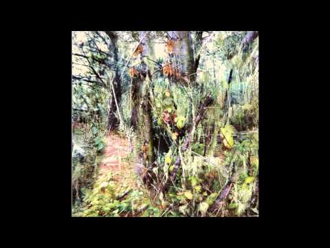 Roman Hiele — Hiele - Watch