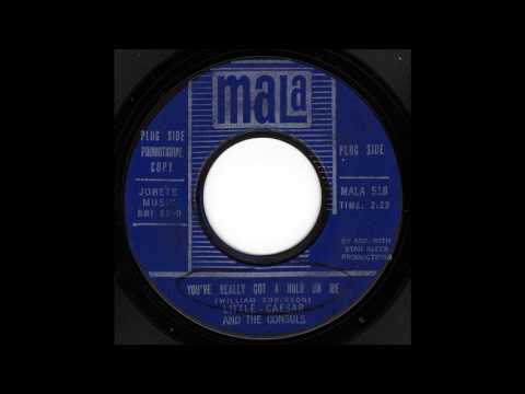 Little Caesar And The Consuls — Little Caesar And The Consuls - You've Really Got a Hold On Me