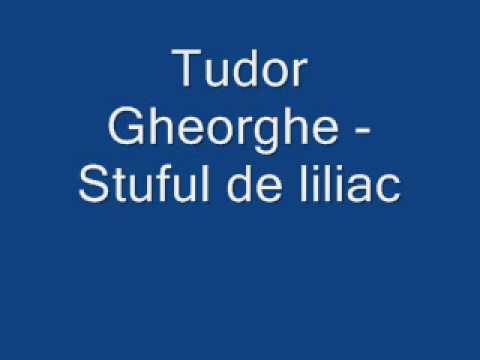 Tudor Gheorghe — Tudor Gheorghe   Stuful de liliac