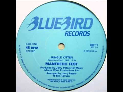 DJ Marky — Manfredo Fest  Jungle Kitten