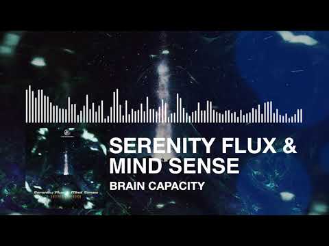DJ Bim — Serenity Flux & Mind Sense - Brain Capacity ✯ 1db Records ✯