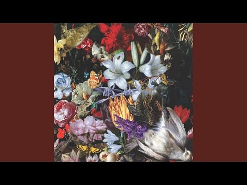 The Nightingales — Wrong Headed Man