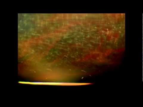 dreissk — dreissk - shadow fall