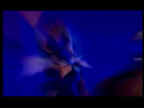 S.M.S. — SMS - ROCKING GENERATION