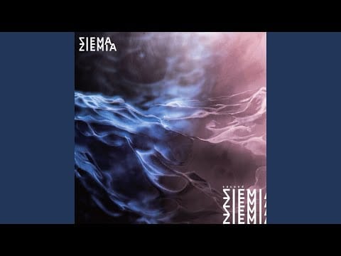 Siema Ziemia — Vulnerabilities