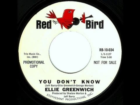 Ellie Greenwich — Ellie Greenwich - YOU DON'T KNOW  (1965)