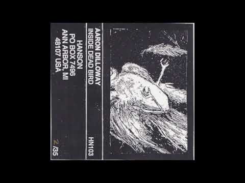 Aaron Dilloway — aaron dilloway - inside dead bird
