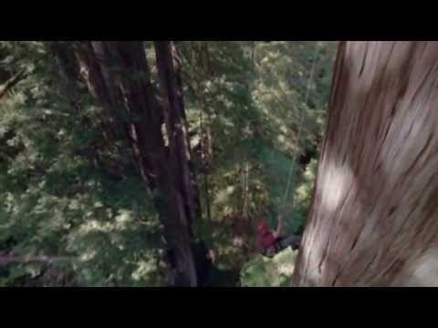 Specter — Specter - Bustin A Step