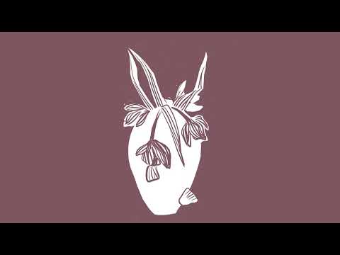 Birds In Row — Birds in Row - Nympheas