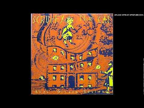Scruffy The Cat — Scruffy the Cat - Land of 1000 Girls