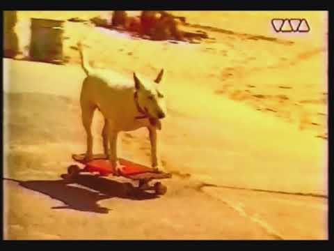Sandmann's Dummies — sandmann`s dummies - der fuchs geht durch den wald ( viva tv )