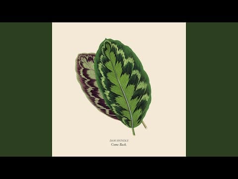 Dam Swindle — The Last Time