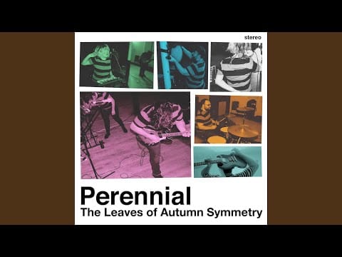 Perennial (3) — The Leaves Of Autumn Symmetry