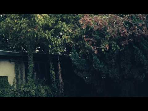 Joris Voorn — Joris Voorn - I Ran The Zoo (Analog Version)