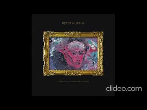 Peter Murphy — Peter Murphy - Peter Live - Volume 1 - Covers 2024