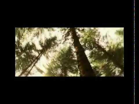 Midlake — Midlake - Bring Down