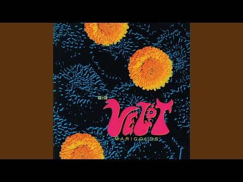 The Veldt — Chantuese