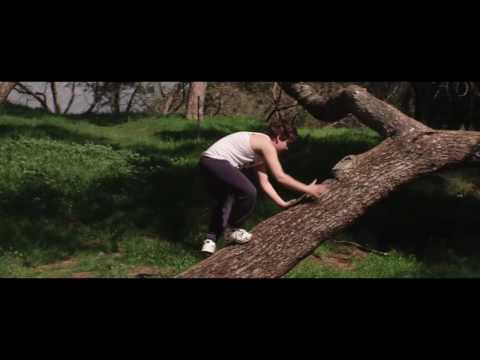A Wilhelm Scream — A Wilhelm Scream - "Australias" Paper + Plastick Records