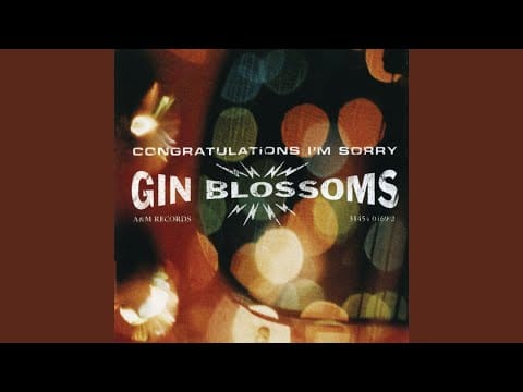 Gin Blossoms — Perfectly Still