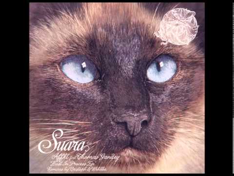 Affkt — Affkt - Lost feat. Thomas Gandey (Cristoph Remix) [Suara]