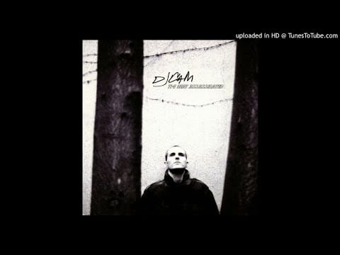 DJ Cam — DJ Cam - Success