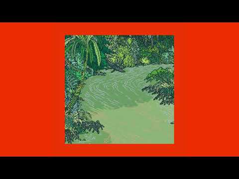 Bon Voyage Organisation — Bon Voyage Organisation - Apacheta (Official Audio)