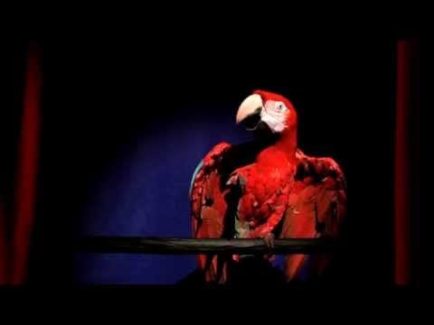Robyn — Konichiwa Bitches