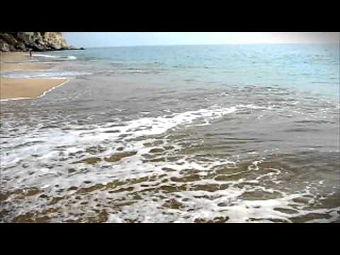The Waikiki's — The Waikikis - Hawaiian Wedding Song