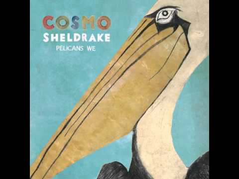 Cosmo Sheldrake — Cosmo Sheldrake - Tardigrade Song