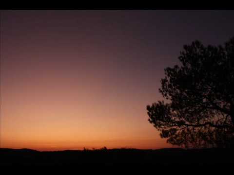Bowerbirds — Bowerbirds - Beneath your tree