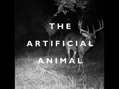 Broken English Club — THE ARTIFICIAL ANIMAL - BROKEN ENGLISH CLUB