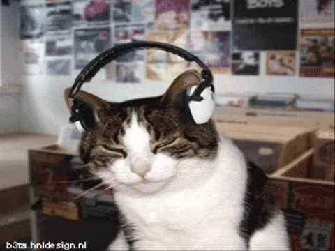 Timbuk 3 — Facts about Cats