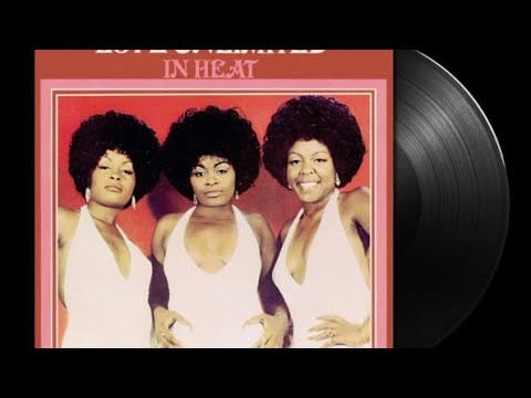 Love Unlimited — love unlimited in heat vinyl $Uga1994 or PayPal.me/ejohnson1994