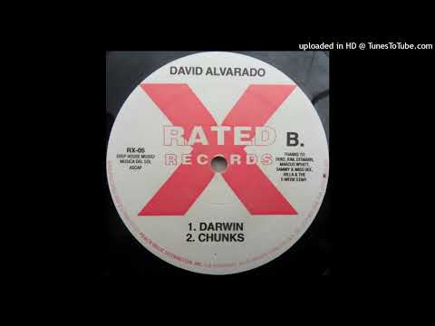 David Alvarado — David Alvarado - Chunks